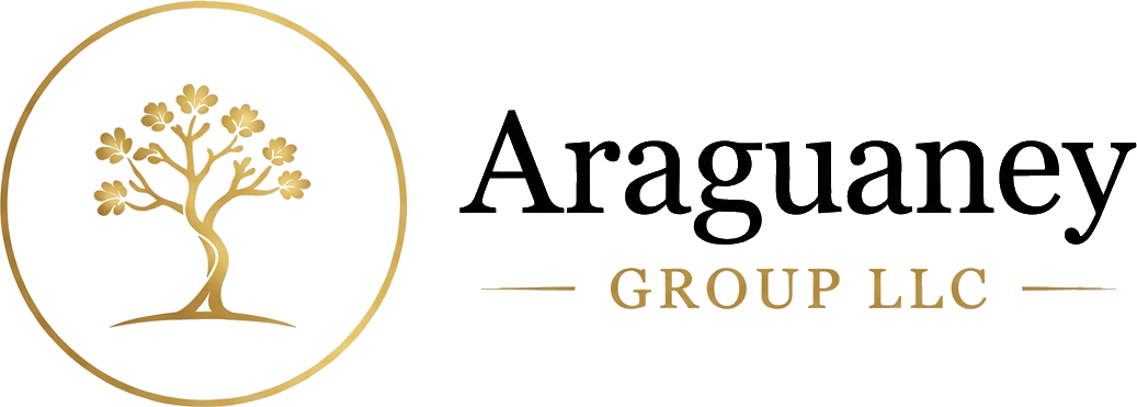 ARAGUANEY GROUP LLC